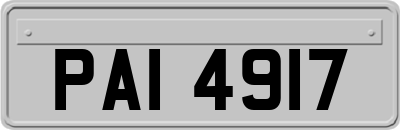 PAI4917