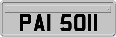 PAI5011