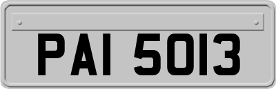 PAI5013