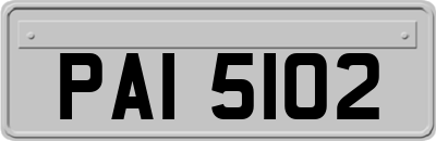 PAI5102