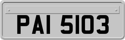 PAI5103