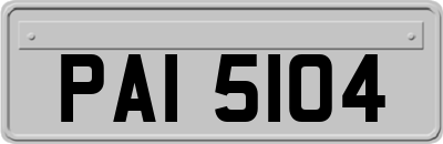 PAI5104
