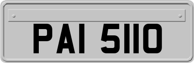PAI5110