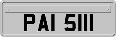 PAI5111