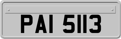 PAI5113