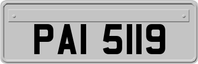 PAI5119