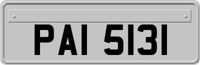 PAI5131