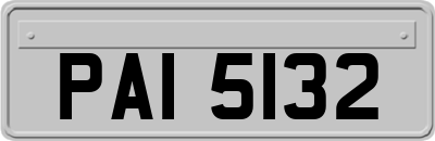 PAI5132