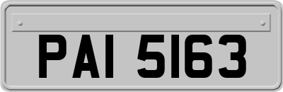 PAI5163