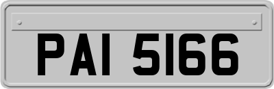 PAI5166