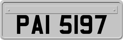 PAI5197