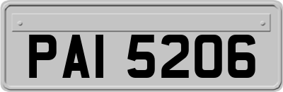 PAI5206