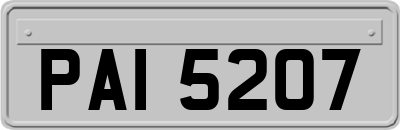 PAI5207