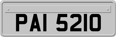 PAI5210