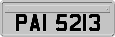 PAI5213