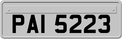 PAI5223