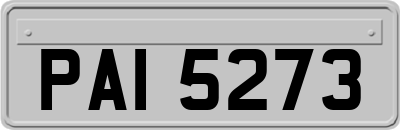 PAI5273