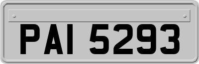 PAI5293
