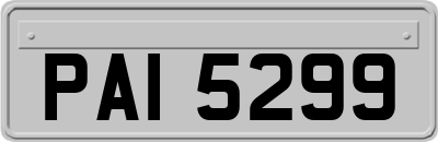 PAI5299