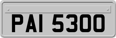 PAI5300