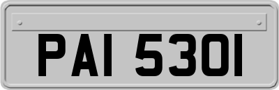 PAI5301