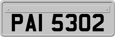 PAI5302
