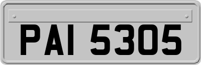 PAI5305
