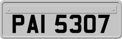 PAI5307