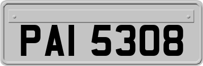 PAI5308