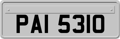 PAI5310