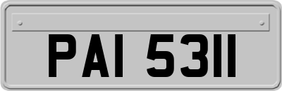 PAI5311