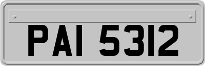 PAI5312