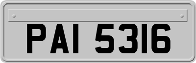 PAI5316