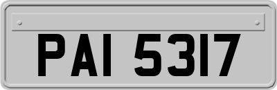 PAI5317