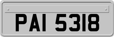 PAI5318