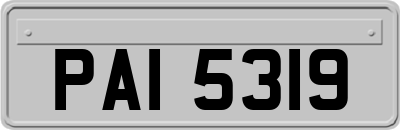 PAI5319
