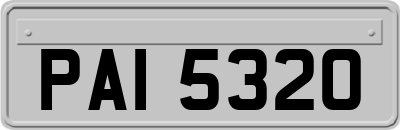 PAI5320