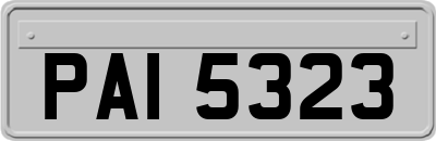 PAI5323