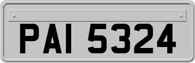 PAI5324