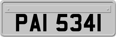 PAI5341
