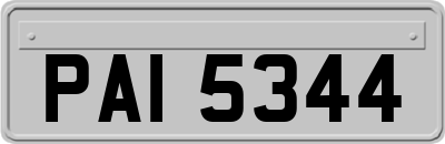 PAI5344