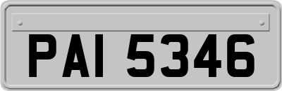 PAI5346