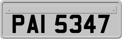 PAI5347