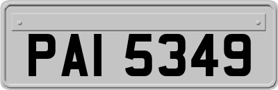 PAI5349