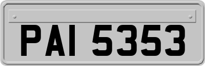 PAI5353