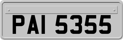 PAI5355