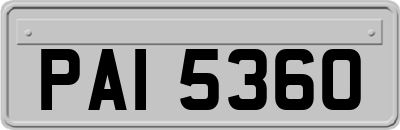 PAI5360