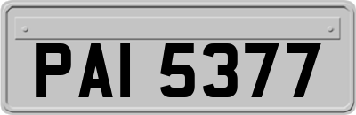 PAI5377