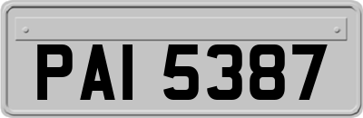 PAI5387