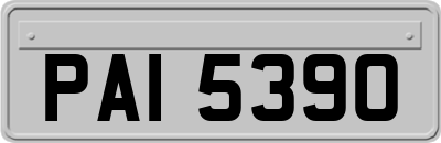 PAI5390